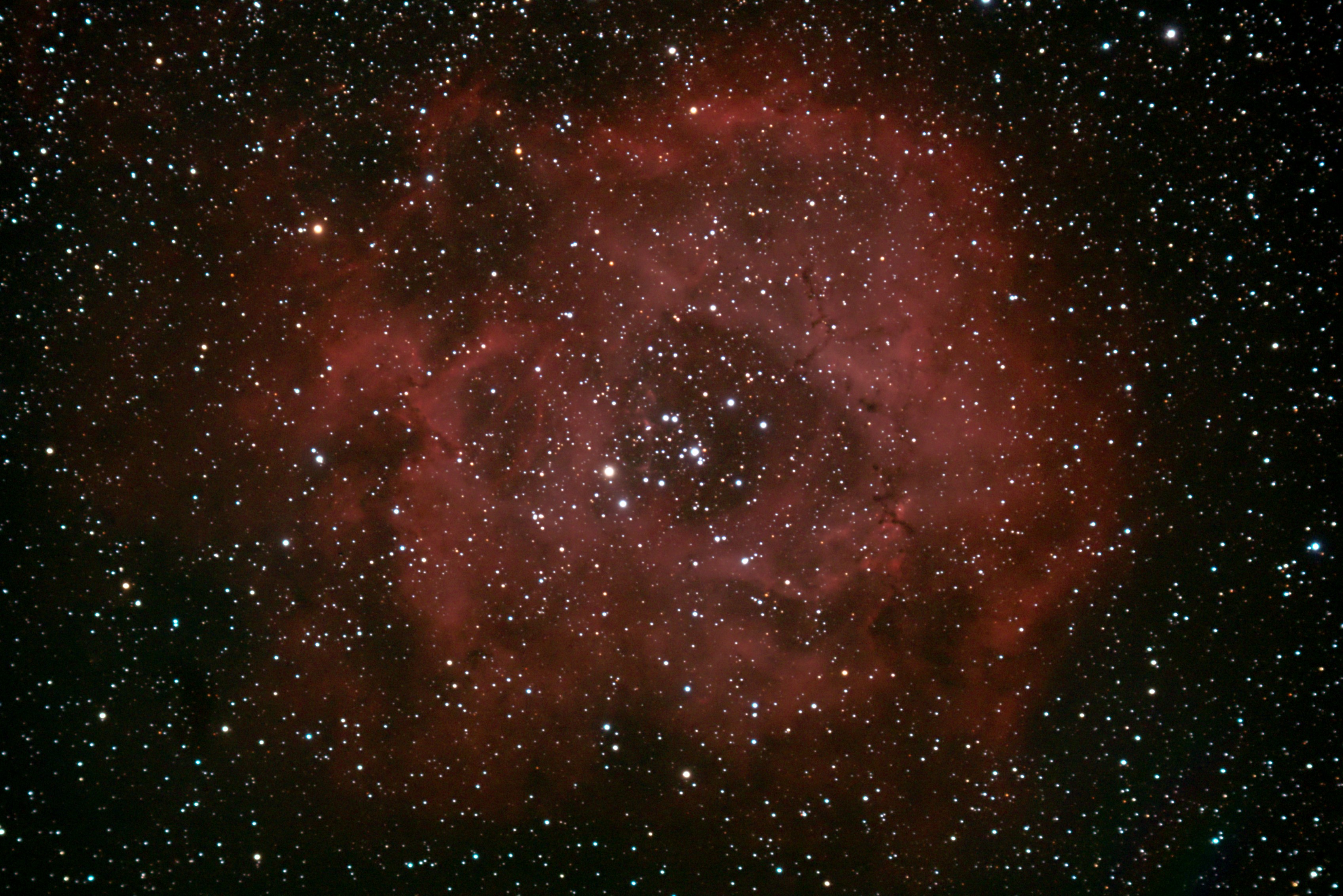 NGC2237_2008_02_03_merge1_bearb3.jpg