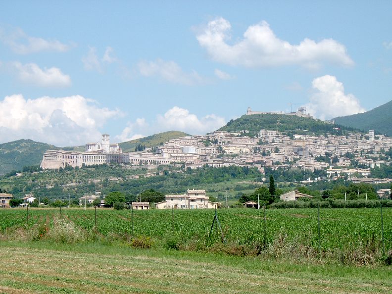 AssisiGross